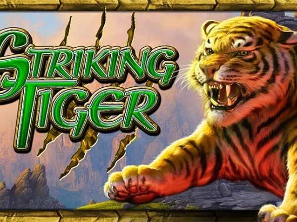 striking tiger-spincraze.fun